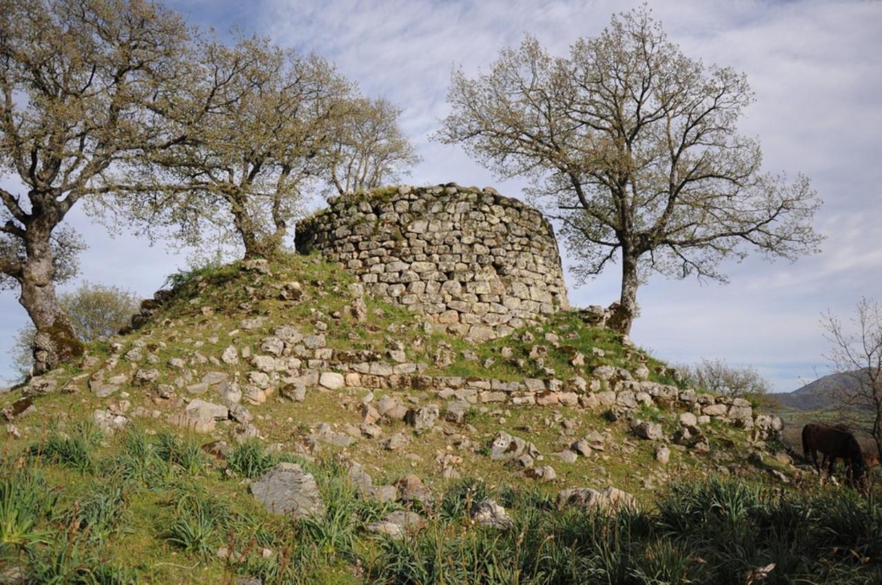 L Agrifoglio Di Rita Loddo Fonni Exterior foto